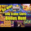 Bonus Hunt, Low Stake Slots, Danger HV BIG WIN!!, Dog house 8 Wilds, Book Of Fallen & Much More..