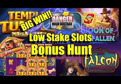 Bonus Hunt, Low Stake Slots, Danger HV BIG WIN!!, Dog house 8 Wilds, Book Of Fallen & Much More..