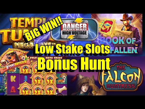 Bonus Hunt, Low Stake Slots, Danger HV BIG WIN!!, Dog house 8 Wilds, Book Of Fallen & Much More..