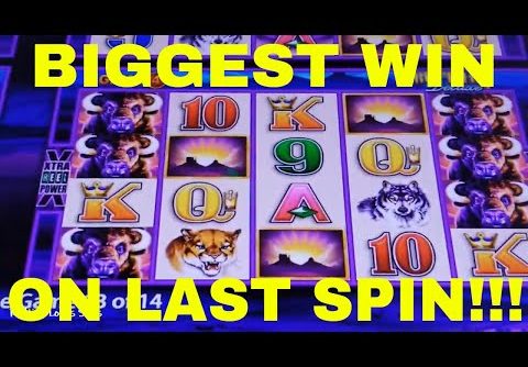 BIGGEST WIN on LAST SPIN SUPER GAMES Buffalo Deluxe-Redtint Loves Slots