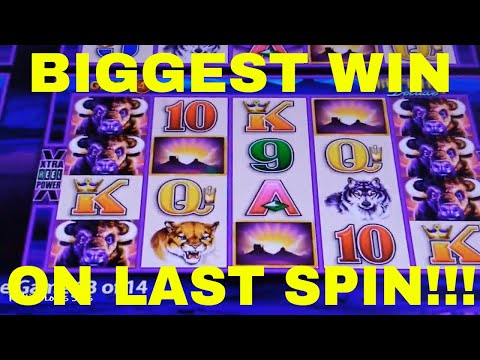 BIGGEST WIN on LAST SPIN SUPER GAMES Buffalo Deluxe-Redtint Loves Slots
