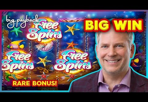 RARE BONUS! Diver’s Dream Slot – BIG WIN SESSION!