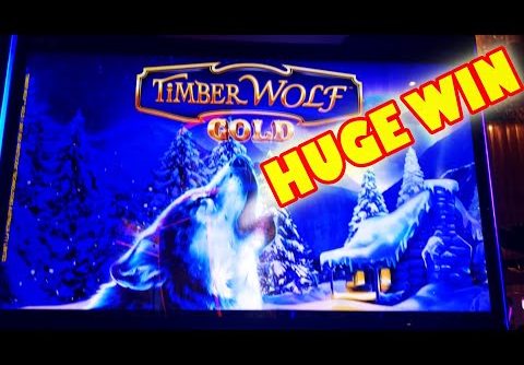 HUGE WIN!  YES I SAID HUGE WIN!!!  — Epic New Slot Machine Video