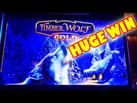 HUGE WIN!  YES I SAID HUGE WIN!!!  — Epic New Slot Machine Video