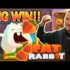 BIG WIN!!! FAT RABBIT BIG WIN – €5 bet on Casino slot from CasinoDaddys stream