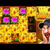 Extremely RARE BIG WIN on HIGH STAKES Wild Swarm Slot!