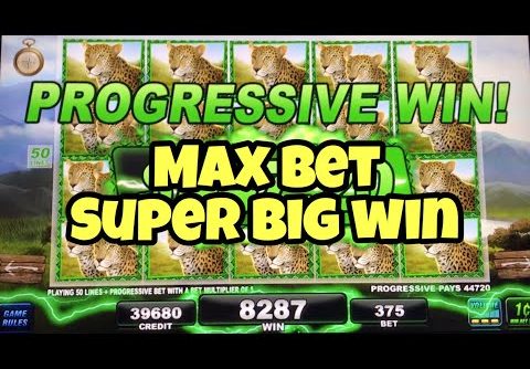 ***BIG 5 SAFARI PROGRESSIVE JACKPOT*** MAX BET SUPER BIG WIN | Wonder Wizard | Golden Century Bonus