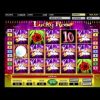 Lucky Rose Slot Huge Win!! – Novomatic