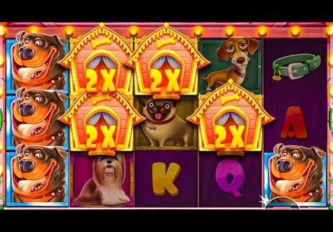 MY RECORD WIN ON THE DOG HOUSE SLOT! (INSANE)