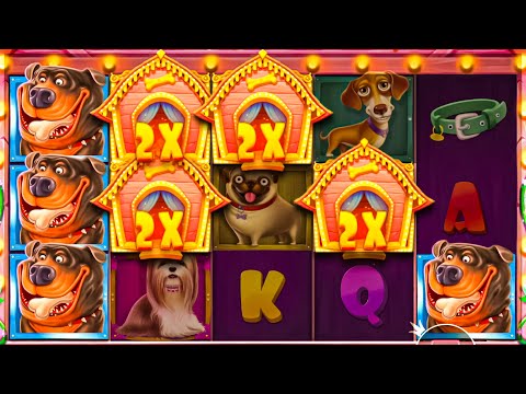 MY RECORD WIN ON THE DOG HOUSE SLOT! (INSANE)