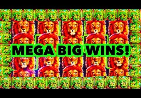 **MEGA BIG WINS!** My Best Wins On King Of Africa Slot Machine Part 1!