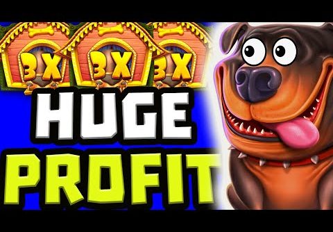 THE DOG HOUSE MEGAWAYS 🐶 SLOT HUGE BIG WINS 🔥 €20 MAX BET BONUS HUNT OPENING OMG‼️