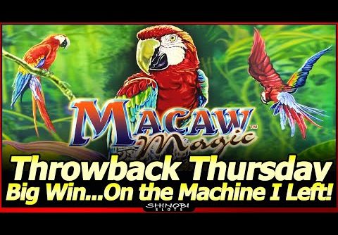 Big Win…on the Machine I Just Left, LOL.  Macaw Magic Slot Live Play/Bonus for Throwback Thursday!