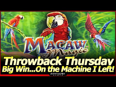 Big Win…on the Machine I Just Left, LOL.  Macaw Magic Slot Live Play/Bonus for Throwback Thursday!