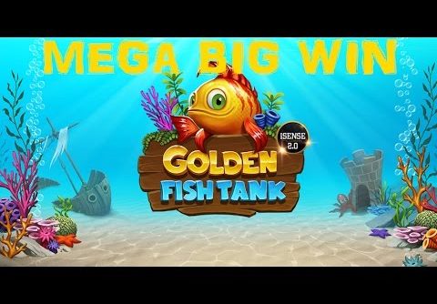 Super Mega Big Win – Golden fish tank – Wild lines