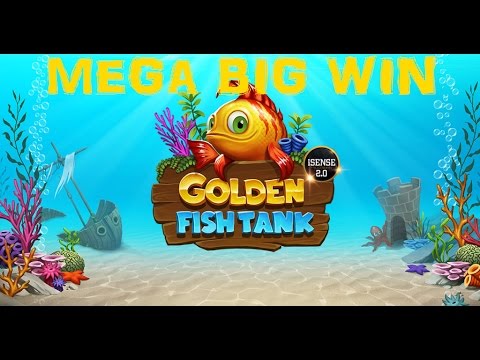 Super Mega Big Win – Golden fish tank – Wild lines