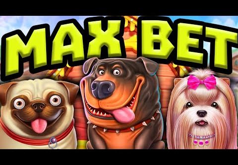 THE DOG HOUSE 🐶 SLOT MAX BET BONUS HUNT 😱 MEGA BIG WINS & NON STOP FREE SPINS EPIC STICKY WILDS‼️