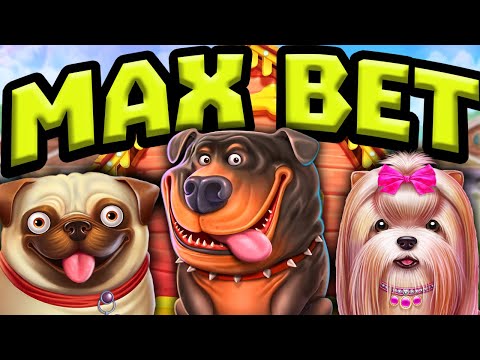 THE DOG HOUSE 🐶 SLOT MAX BET BONUS HUNT 😱 MEGA BIG WINS & NON STOP FREE SPINS EPIC STICKY WILDS‼️