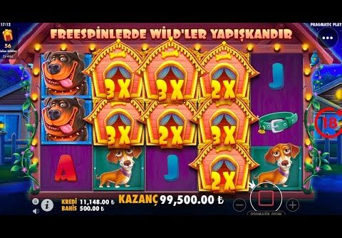 EFSANE ÇARPAN – The Dog House  top 5 BIG WINS   Record win on slot