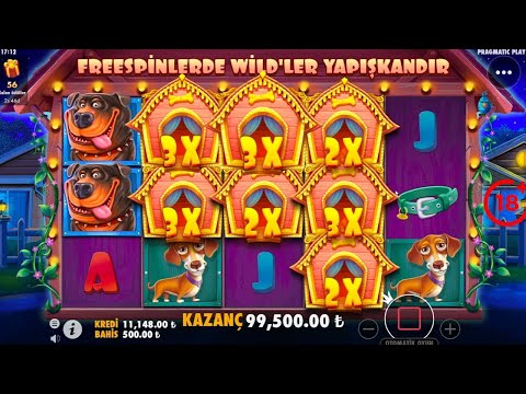 EFSANE ÇARPAN – The Dog House  top 5 BIG WINS   Record win on slot