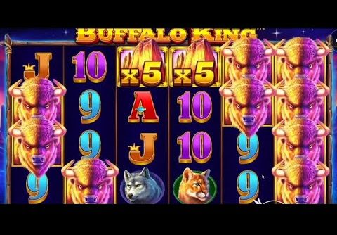 BUFFALO KING 😻😻 TOP MEGA WINS OF THE WEEK 😍😍 THE KING OF SLOTS