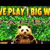 BIG WIN! WILD PANDA GOLD Slot Machine Live Play and Bonus