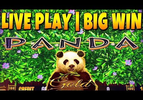 BIG WIN! WILD PANDA GOLD Slot Machine Live Play and Bonus