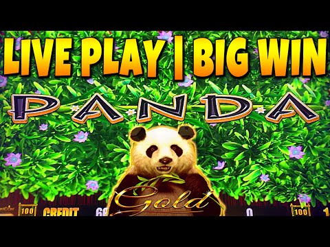 BIG WIN! WILD PANDA GOLD Slot Machine Live Play and Bonus