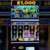 Free Spins with Big Multipliers – Mega Win on the Majestic Gorilla Slot #shorts