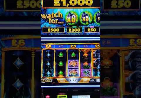 Free Spins with Big Multipliers – Mega Win on the Majestic Gorilla Slot #shorts