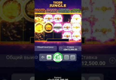 Nodirbekdan Slot Tiger 🐆 jungle Minor Super Mega Win ✈️