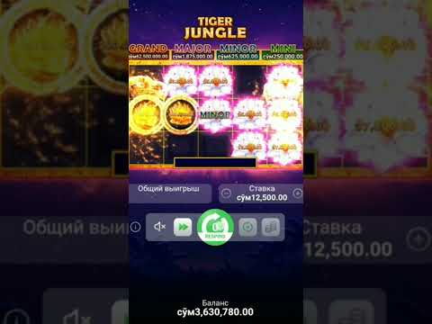 Nodirbekdan Slot Tiger 🐆 jungle Minor Super Mega Win ✈️