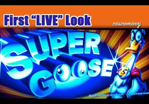 Super Goose Slot – BIG WIN! – First “LIVE” Look – MAX BET! – LIVE PLAY! Slot Machine Bonus