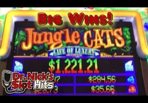 **BIG WIN!!!/Bonuses!!!** Jungle Cats/Life of Luxury Slot Machines