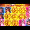 HUGE 1000X WIN On DOG HOUSE MEGAWAYS! (INSANE PROFIT)