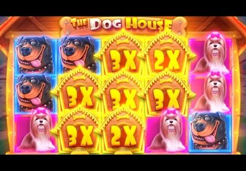 HUGE 1000X WIN On DOG HOUSE MEGAWAYS! (INSANE PROFIT)