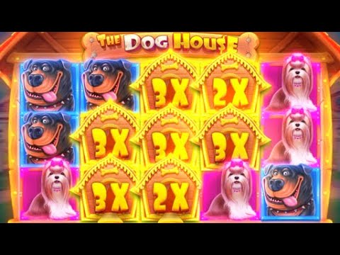 HUGE 1000X WIN On DOG HOUSE MEGAWAYS! (INSANE PROFIT)