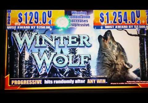 $12.50 MAX BET WINTER WOLF FREE SPIN BONUS – BIG WIN SLOT MACHINE JACKPOT