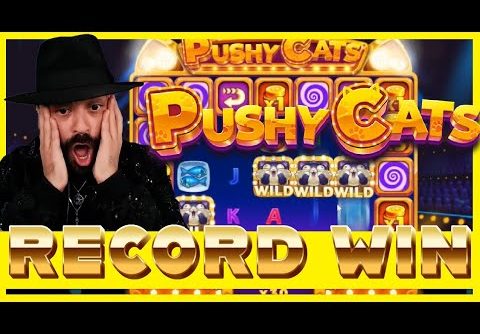 ROSHTEIN AMAZING RECORD WIN ON PUSHY CATS!!