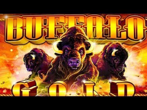 My Biggest Win on Buffalo Slot Machine Casino  Las Vegas Nevada USA