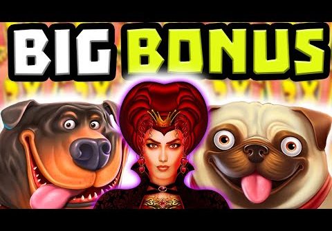 THE DOG HOUSE MEGAWAYS 🐶 SLOT BIG WIN HUGE RAINING WILD BONUS BUYS 🔥 & NEW QUEENIE SLOT BONUS‼️