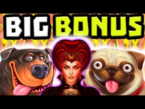 THE DOG HOUSE MEGAWAYS 🐶 SLOT BIG WIN HUGE RAINING WILD BONUS BUYS 🔥 & NEW QUEENIE SLOT BONUS‼️