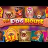 TOP 3 DOG HOUSE🎅🐶WORLD RECORD 🎰WINS OF THE WEEK#114 #slots (ft.ROSHTEIN, Trainwreckstv, & more)