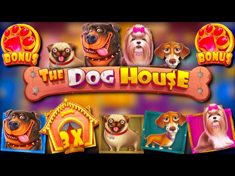 TOP 3 DOG HOUSE🎅🐶WORLD RECORD 🎰WINS OF THE WEEK#114 #slots (ft.ROSHTEIN, Trainwreckstv, & more)