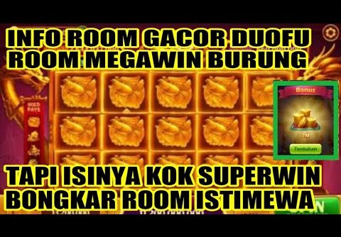 INFO ROOM DUOFU DUOCAI HARI INI | ROOM MEGAWIN BURUNG | ISI NYA MALAH SUPERWIM FULL BURUNG