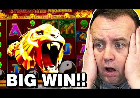 Unbelievable BIG WIN on 8 Tigers Gold Megaways Slot!