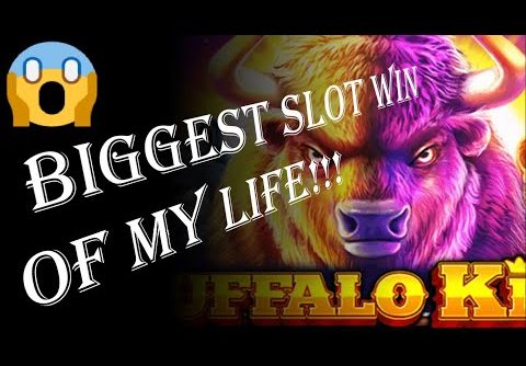 BIGGEST SLOT WIN OF MY LIFE!!! 😱 (roobet)