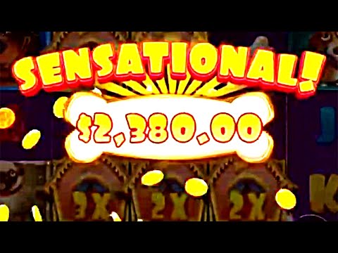 💥 THE DOG HOUSE SLOT win – Slots big win, Biggest win online gambling