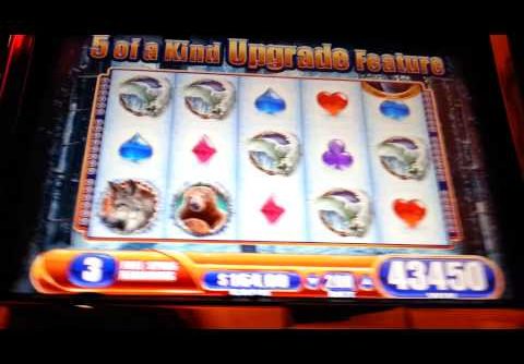 Winter Wolf Max Bet Bonus Super Big Win WMS Slot Machine