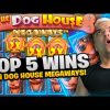 TOP 5 CLASSYBEEF INSANE WINS ON THE DOG HOUSE MEGAWAYS